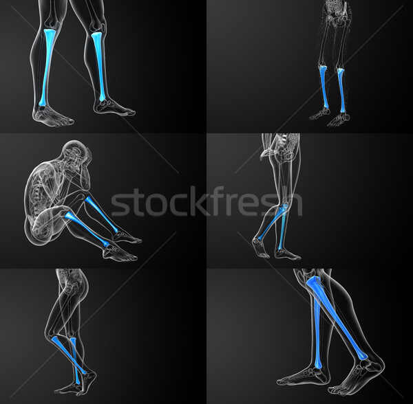 3D médico ilustração osso Foto stock © maya2008