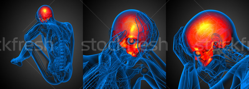 Stock photo: 3d rendering medical illustration of the upper skull 