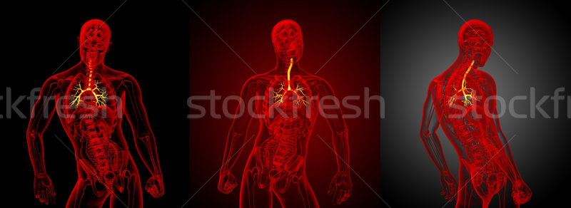Stock fotó: 3D · renderelt · kép · orvosi · illusztráció · férfi