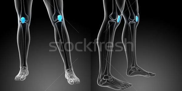 3d rendering medical illustration of the patella bone Stock photo © maya2008
