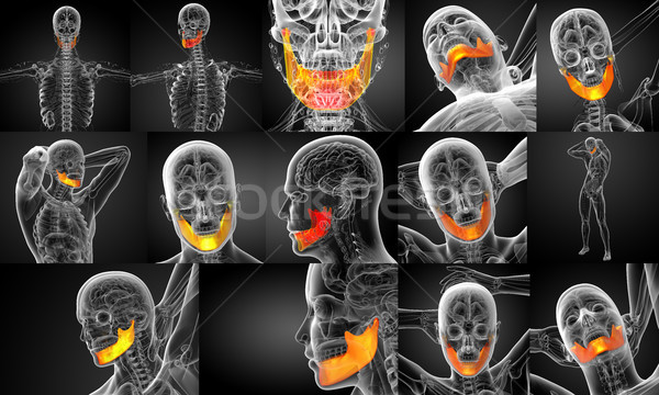 Stockfoto: 3D · illustratie · kaak · bot · medische