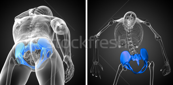 ストックフォト: 3D · レンダリング · 医療 · 実例 · 骨