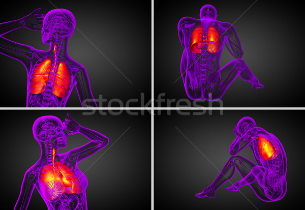 3D medische illustratie menselijke ademhalings Stockfoto © maya2008