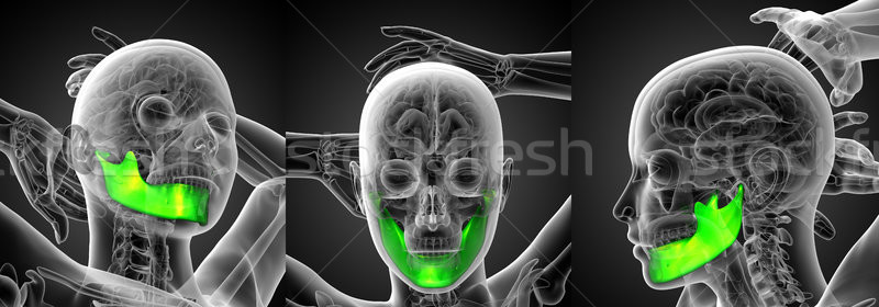 3d rendering illustration of a jaw bone Stock photo © maya2008