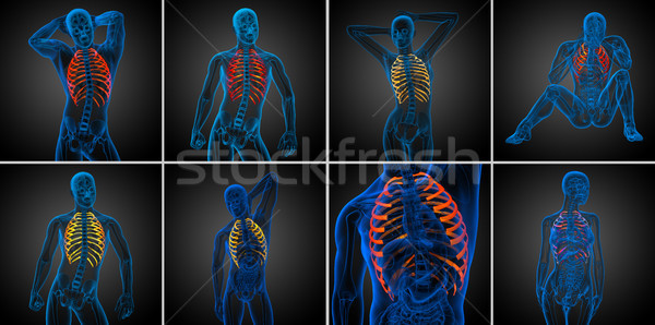 Stockfoto: 3D · medische · illustratie · menselijke