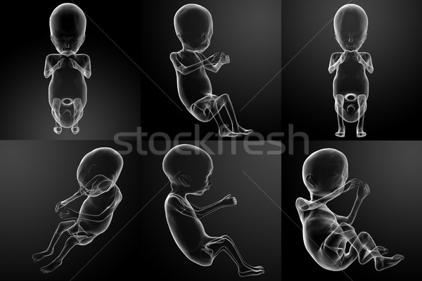 3D rendering illustration of the human fetus Stock photo © maya2008