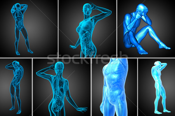 Stock photo: 3d rendering  medical illustration of the human anatomy 