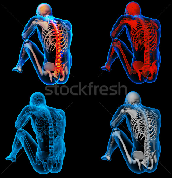 Stock fotó: 3D · renderelt · kép · csontváz · férfi · hátgerinc · tudomány