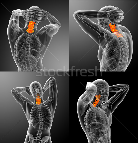3D renderelt kép orvosi illusztráció gerincoszlop Stock fotó © maya2008