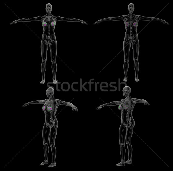 3D medici illustrazione umani ghiandola Foto d'archivio © maya2008