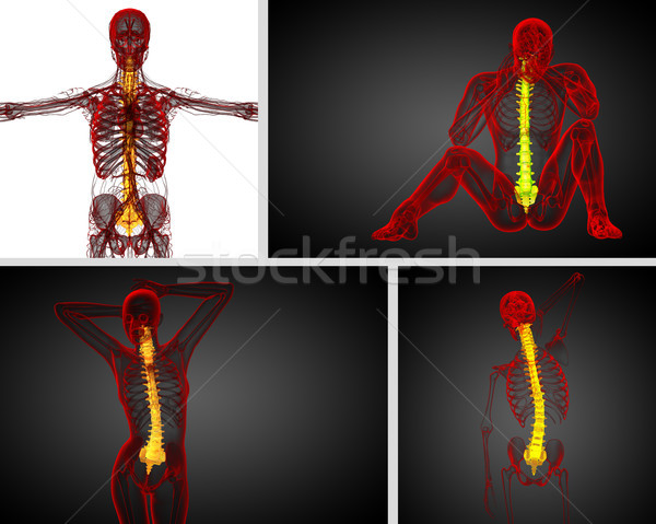 3D renderelt kép orvosi illusztráció emberi gerincoszlop Stock fotó © maya2008