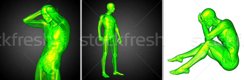 Stok fotoğraf: 3D · tıbbi · örnek · insan · anatomisi