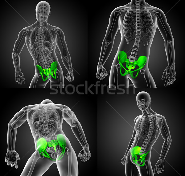 3d rendering medical illustration of the hip bone  Stock photo © maya2008