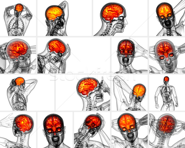 3d rendering medical illustration of the brain   Stock photo © maya2008