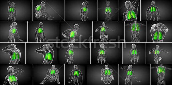 3D Rendering medizinischen Illustration menschlichen Lunge Stock foto © maya2008