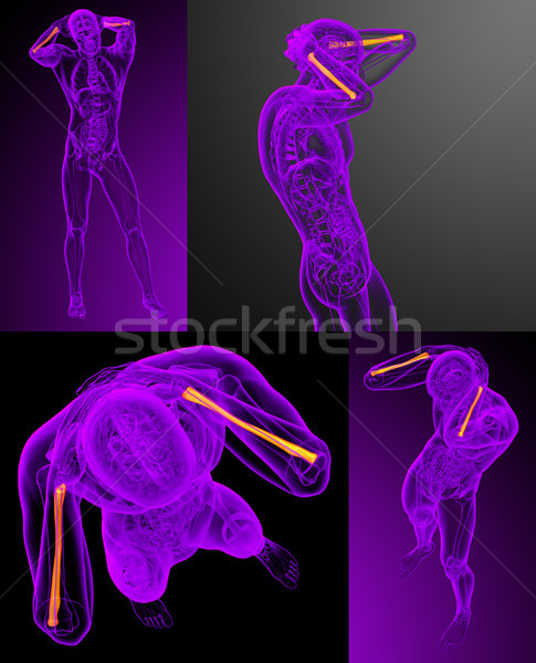3D médicaux illustration osseuse Photo stock © maya2008