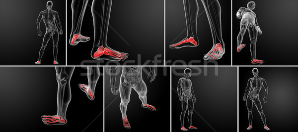 3d rendering x-ray of foot  Stock photo © maya2008