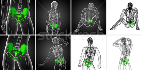 3D rendering medical illustration of the pelvis bone Stock photo © maya2008