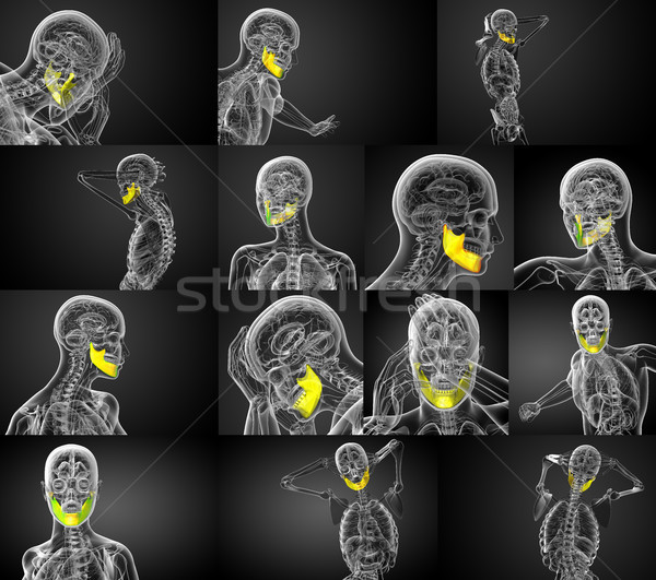 Stock photo: 3d rendering illustration of jaw bone