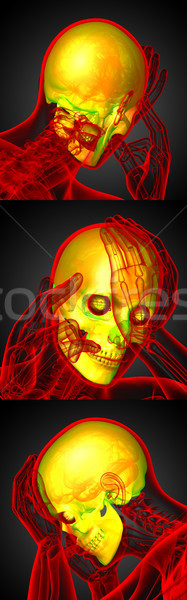 3d rendering medical illustration of the human skull  Stock photo © maya2008