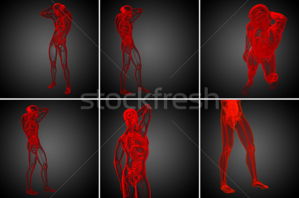 Stockfoto: 3D · medische · illustratie