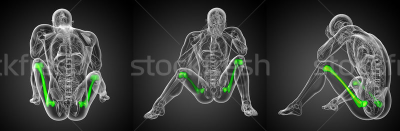 Stock photo: 3d rendering medical illustration of the femur bone