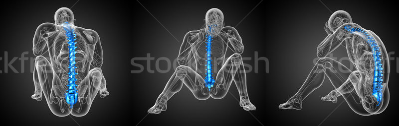 3d rendering medical illustration of the human spine Stock photo © maya2008
