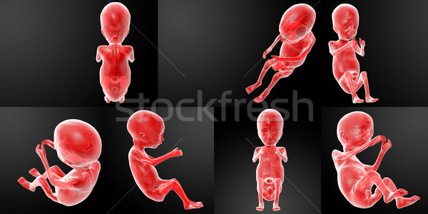 3D ilustración humanos feto bebé Foto stock © maya2008