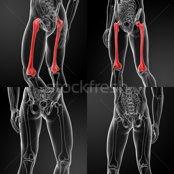 3D Rendering Gesundheit blau Wissenschaft rot Stock foto © maya2008