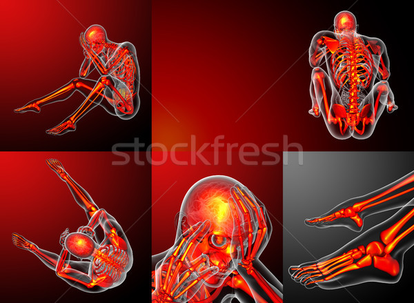 3d rendering medical illustration of the human skeletonl Stock photo © maya2008