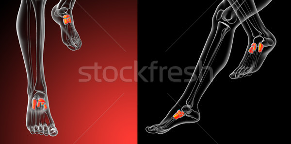 3d rendering medical illustration of the midfoot bone  Stock photo © maya2008