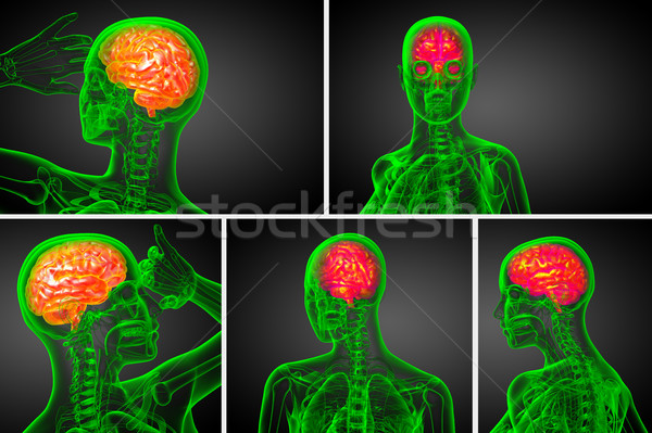 3D medical ilustrare creier Imagine de stoc © maya2008