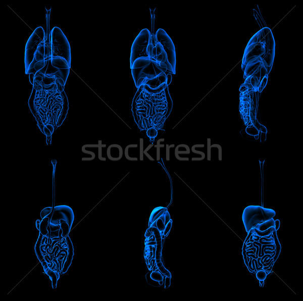3D ilustração respiratório azul ciência Foto stock © maya2008