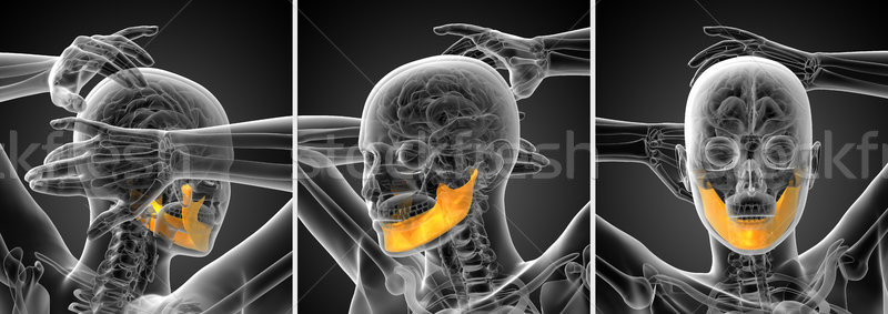 Сток-фото: 3D · иллюстрация · челюсть · кость · здоровья