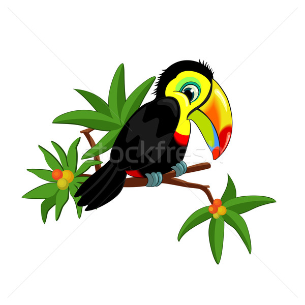 Toucan on branch Stock photo © Mayamy