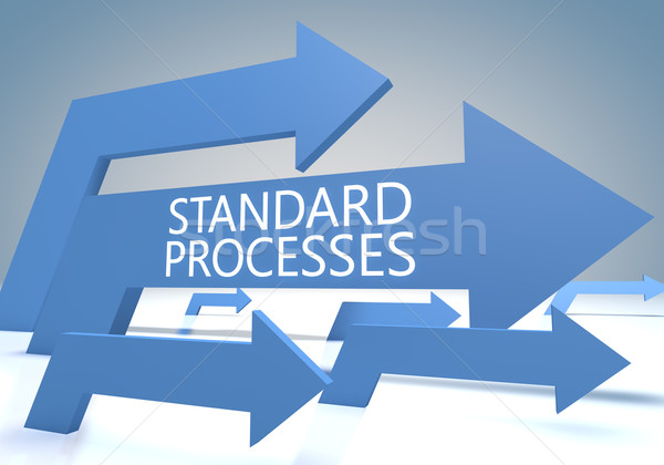 Standard Processes Stock photo © Mazirama