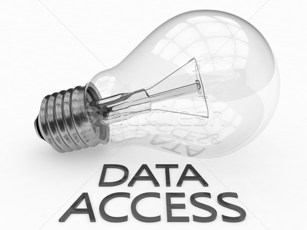 Data Access Stock photo © Mazirama