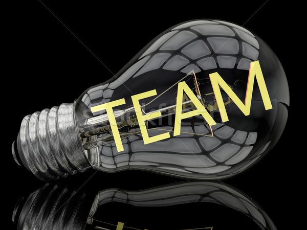 Team Stock photo © Mazirama