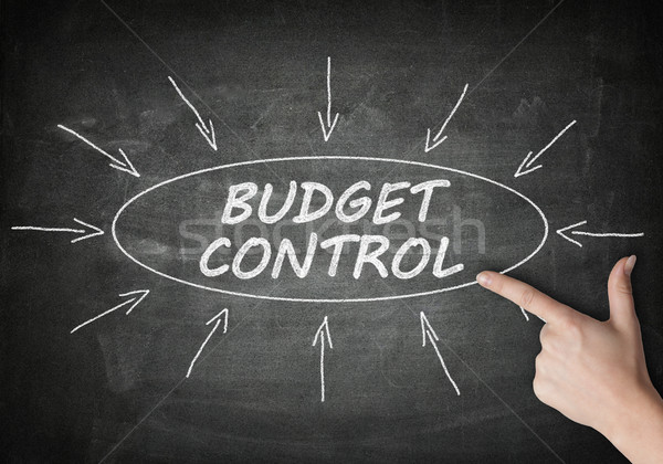 Budget Control Stock photo © Mazirama