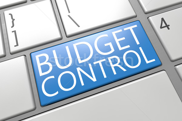 Budget Control Stock photo © Mazirama