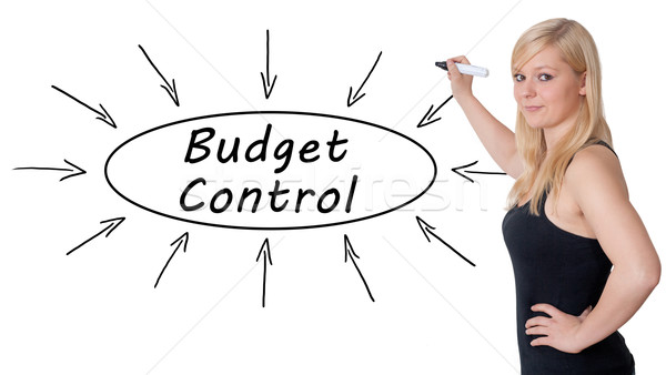 Budget Control Stock photo © Mazirama