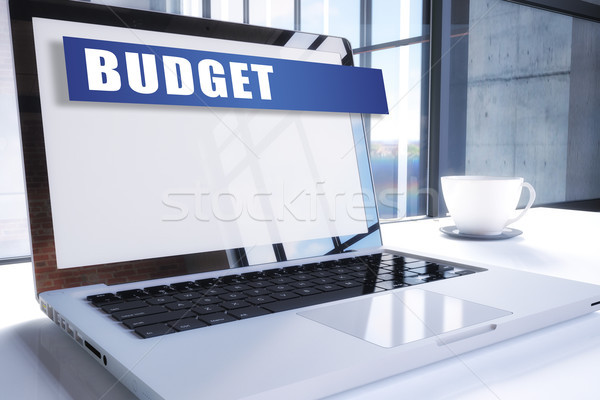 Budget Stock photo © Mazirama