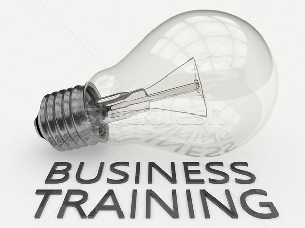 Business Training Stock photo © Mazirama