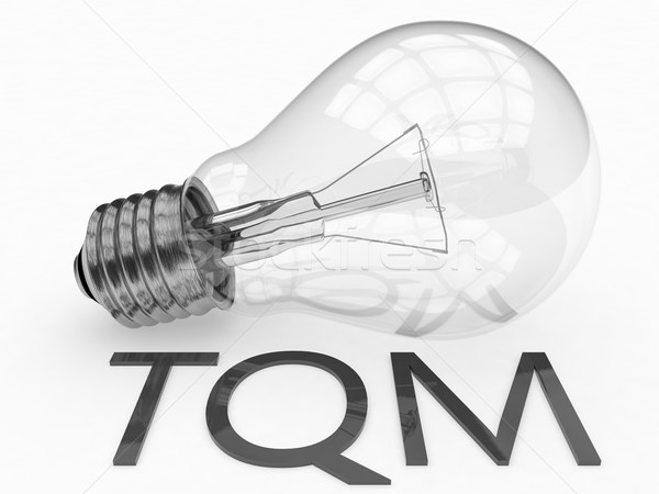 Total Quality Management Stock photo © Mazirama