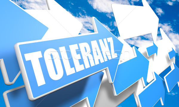 Wort Toleranz 3d render blau weiß Pfeile Stock foto © Mazirama