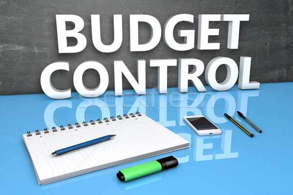 Budget Control text concept Stock photo © Mazirama