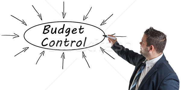 Budget Control Stock photo © Mazirama