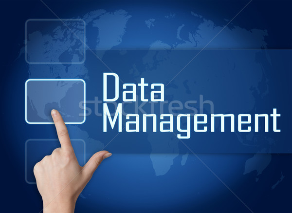 Data Management Stock photo © Mazirama
