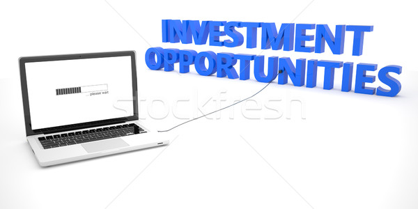 Investment Opportunities Stock photo © Mazirama