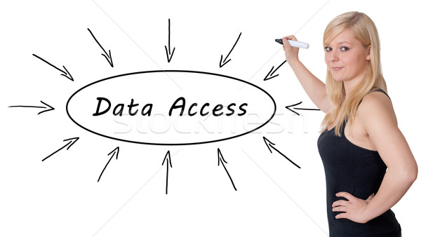 Data Access Stock photo © Mazirama